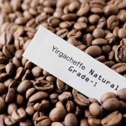 ethiopian-yirgacheffe-coffee