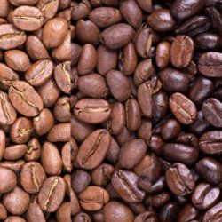 A collage of coffee beans showing various stages of roasting from raw through to Italian roast